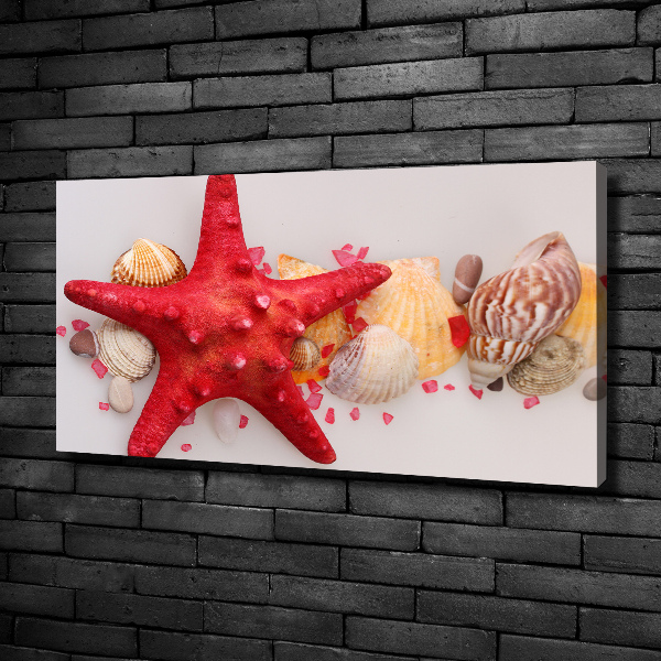Quadro su tela Stelle marine e conchiglie
