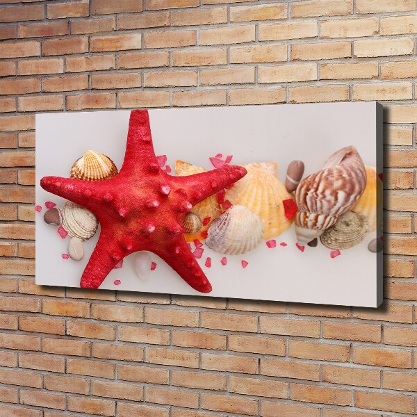 Quadro su tela Stelle marine e conchiglie
