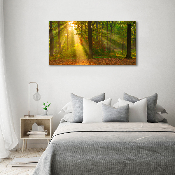 Quadro su tela Foresta al sole