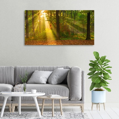 Quadro su tela Foresta al sole