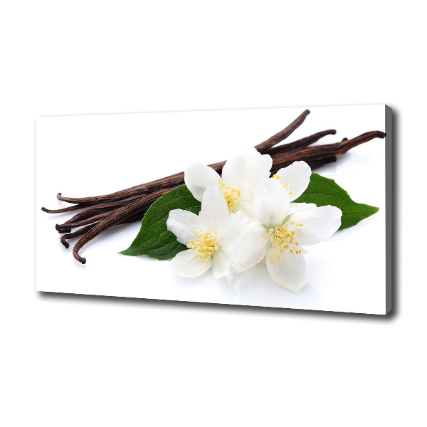Foto quadro su tela Gelsomino e vaniglia