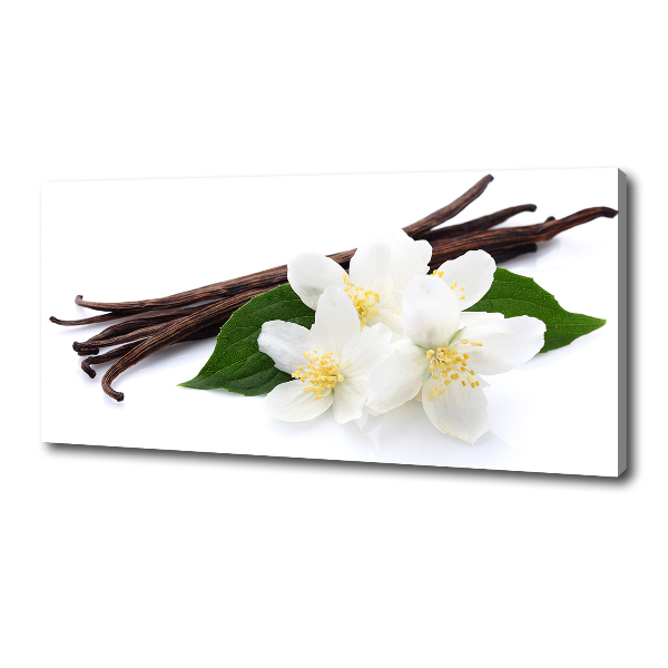 Foto quadro su tela Gelsomino e vaniglia