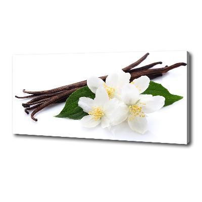Foto quadro su tela Gelsomino e vaniglia
