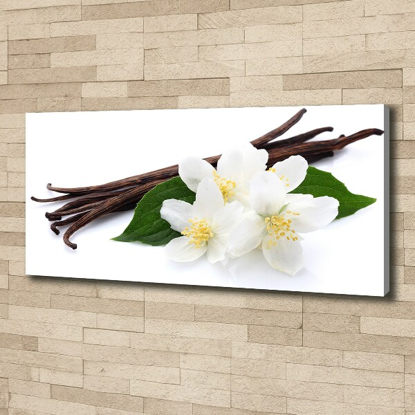 Foto quadro su tela Gelsomino e vaniglia