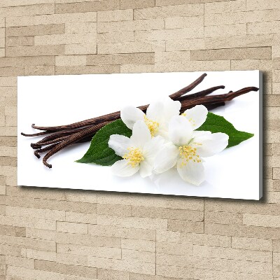 Foto quadro su tela Gelsomino e vaniglia