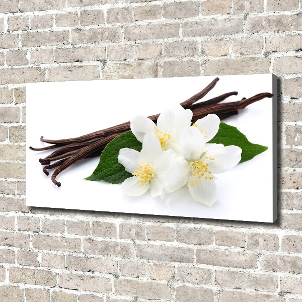 Foto quadro su tela Gelsomino e vaniglia