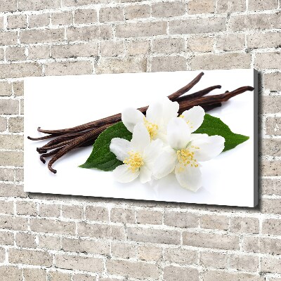Foto quadro su tela Gelsomino e vaniglia