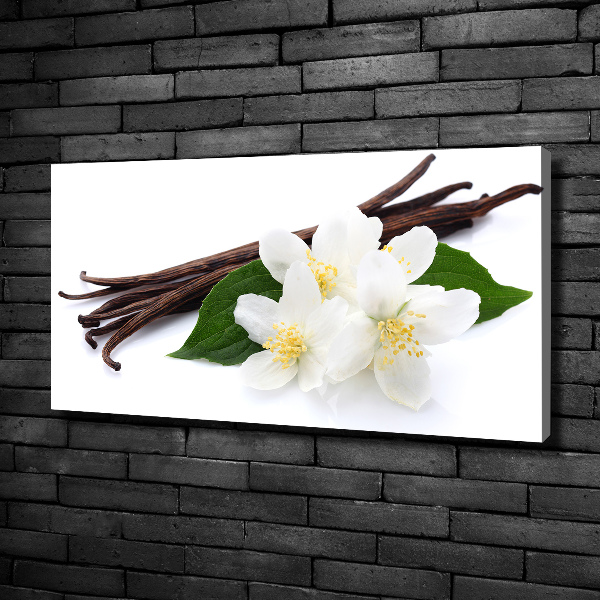 Foto quadro su tela Gelsomino e vaniglia
