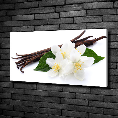 Foto quadro su tela Gelsomino e vaniglia