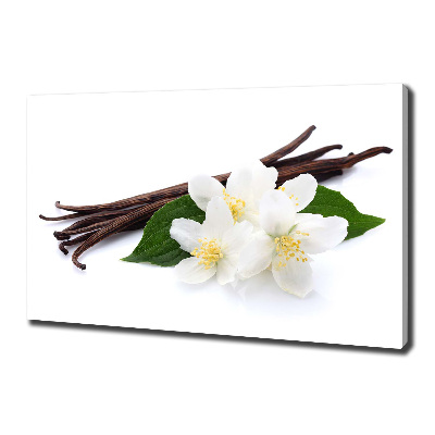 Foto quadro su tela Gelsomino e vaniglia