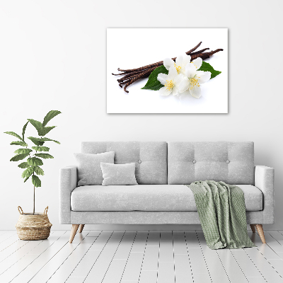 Foto quadro su tela Gelsomino e vaniglia