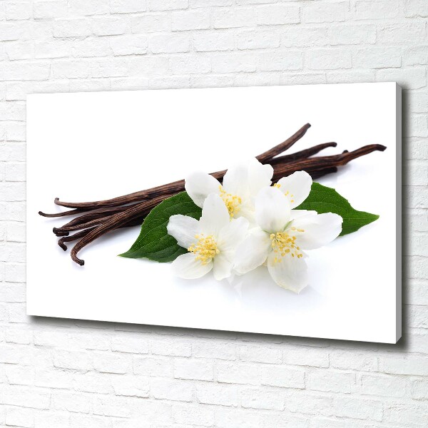 Foto quadro su tela Gelsomino e vaniglia