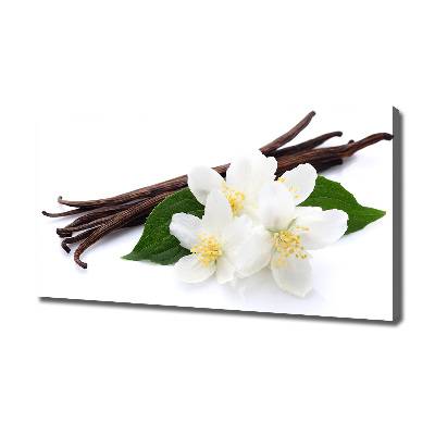 Foto quadro su tela Gelsomino e vaniglia