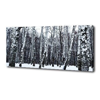 Quadro su tela Betulle in inverno