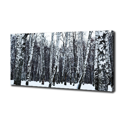 Quadro su tela Betulle in inverno