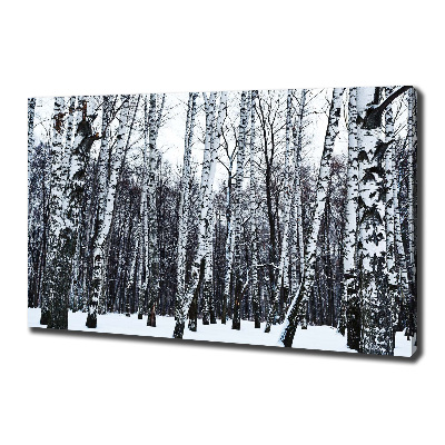 Quadro su tela Betulle in inverno