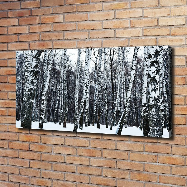 Quadro su tela Betulle in inverno