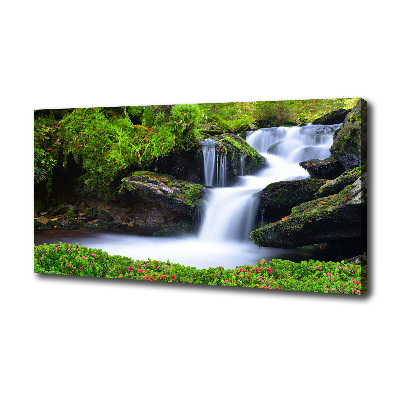 Foto quadro su tela Cascata nella foresta