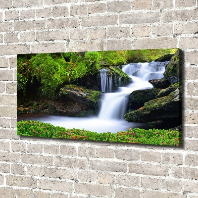 Foto quadro su tela Cascata nella foresta