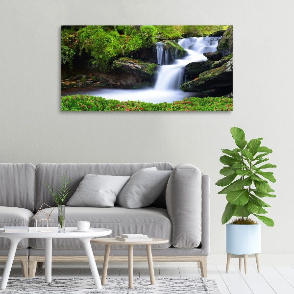 Foto quadro su tela Cascata nella foresta