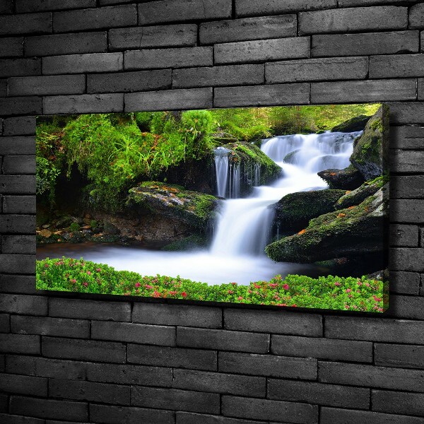 Foto quadro su tela Cascata nella foresta