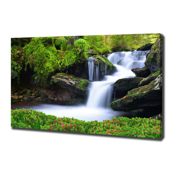 Foto quadro su tela Cascata nella foresta