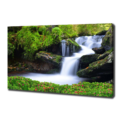 Foto quadro su tela Cascata nella foresta