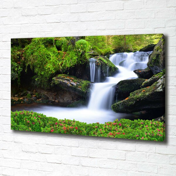 Foto quadro su tela Cascata nella foresta