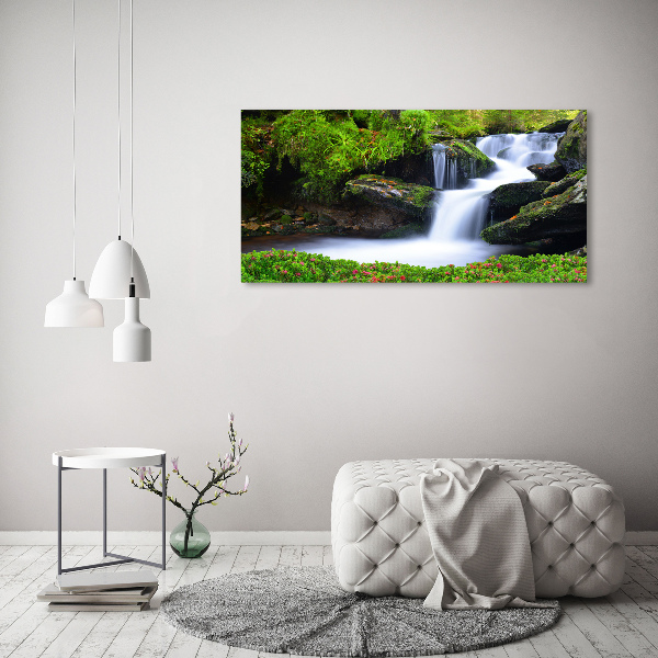 Foto quadro su tela Cascata nella foresta