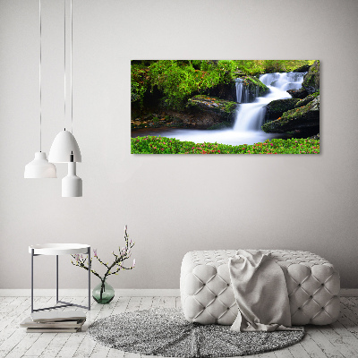Foto quadro su tela Cascata nella foresta
