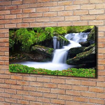 Foto quadro su tela Cascata nella foresta
