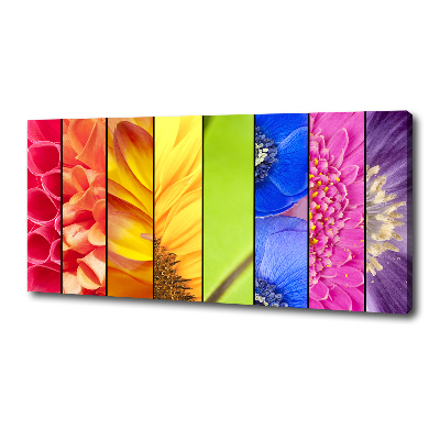 Quadro su tela Fiori colorati