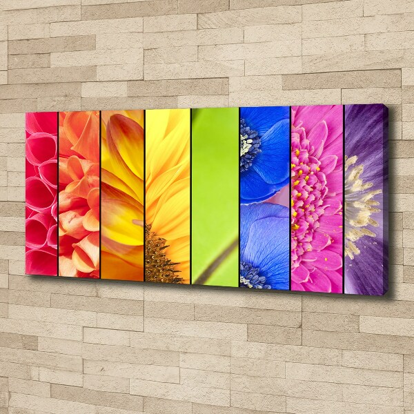Quadro su tela Fiori colorati