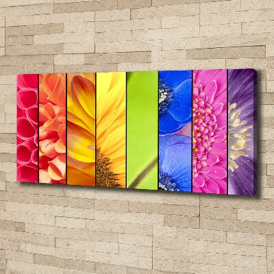 Quadro su tela Fiori colorati