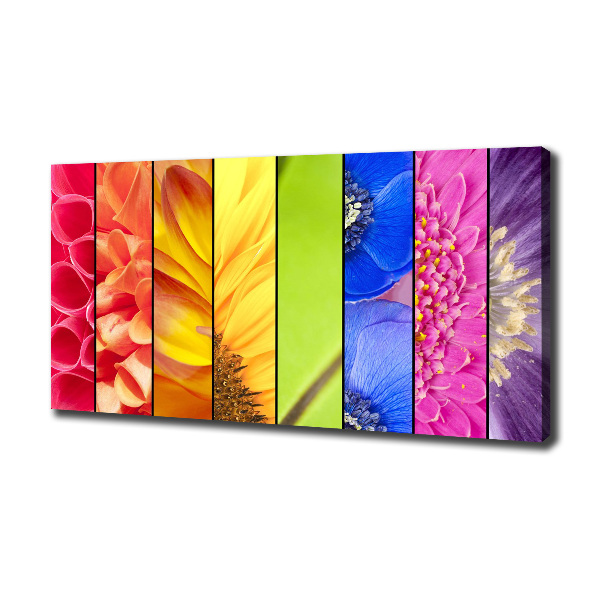 Quadro su tela Fiori colorati