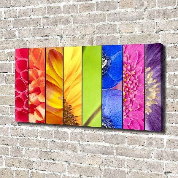 Quadro su tela Fiori colorati