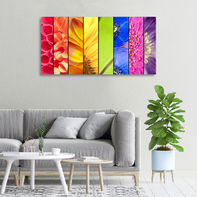 Quadro su tela Fiori colorati