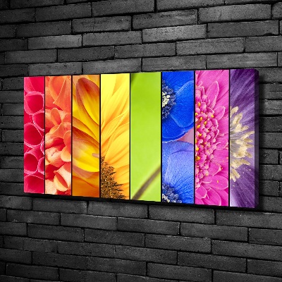 Quadro su tela Fiori colorati