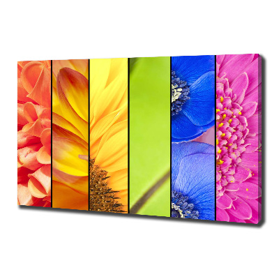 Quadro su tela Fiori colorati