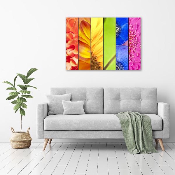 Quadro su tela Fiori colorati