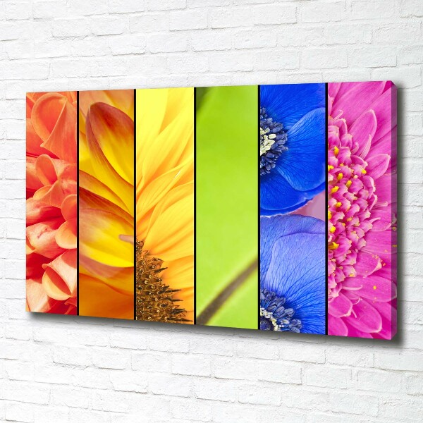Quadro su tela Fiori colorati