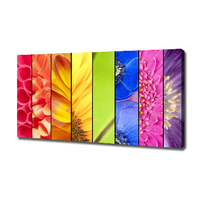 Quadro su tela Fiori colorati