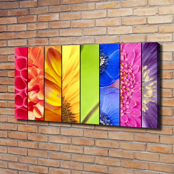 Quadro su tela Fiori colorati
