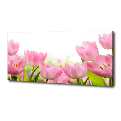 Foto quadro su tela Giardino rosa