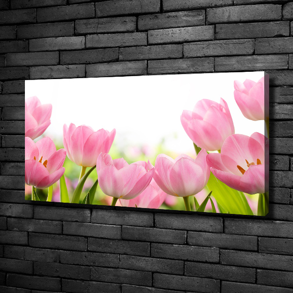 Foto quadro su tela Giardino rosa