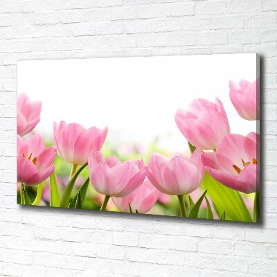 Foto quadro su tela Giardino rosa