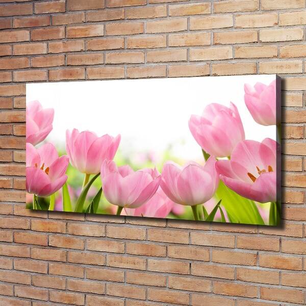 Foto quadro su tela Giardino rosa