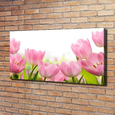 Foto quadro su tela Giardino rosa
