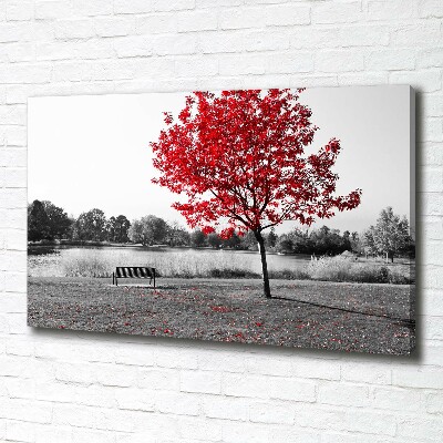Quadro su tela Albero rosso