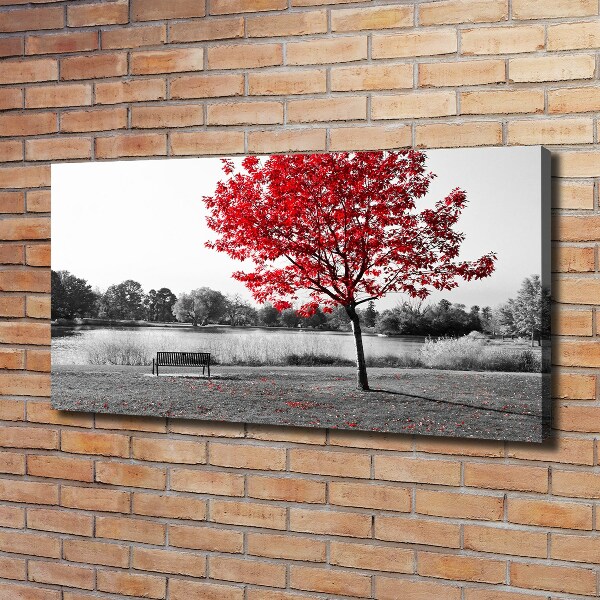 Quadro su tela Albero rosso
